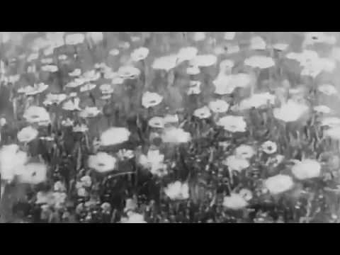 Видео: ПЕНЗЕНСКИЙ ХОР Восемнадцать лет, 1963