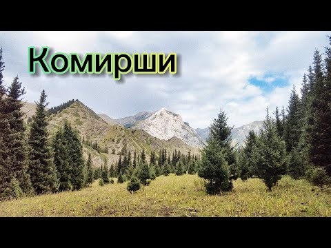 Видео: Комирши | 20 августа 2023