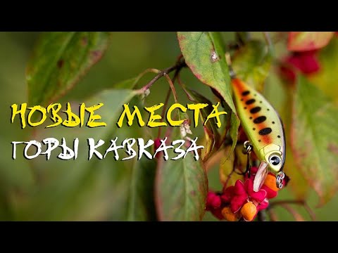 Видео: Новые места, Горы Кавказа.