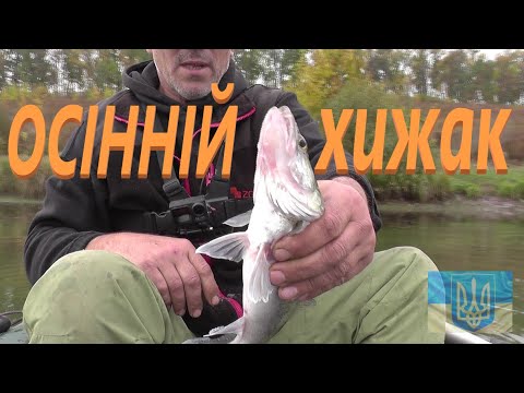 Видео: Сезон на хижака в розгарі # Судак Окунь Щука #РибачуЯкУмію