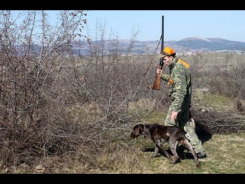 Видео: Състезание Свети Хуберт 2015 за наградите на СЛР КЪРДЖАЛИ