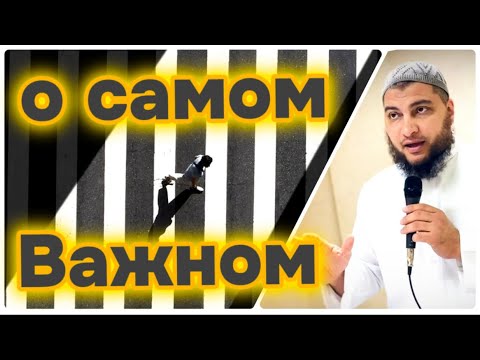 Видео: Урок о самом важном