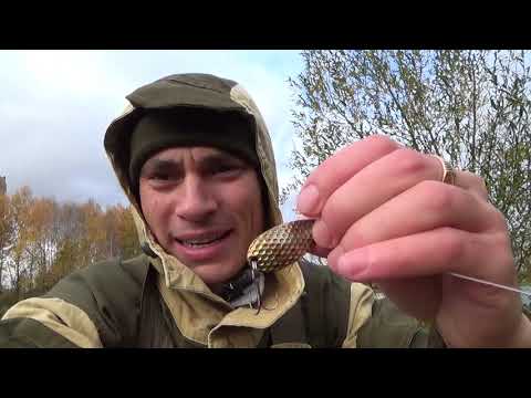 Видео: Щука на спиннинг в Октябре рыбалка в Подмосковье