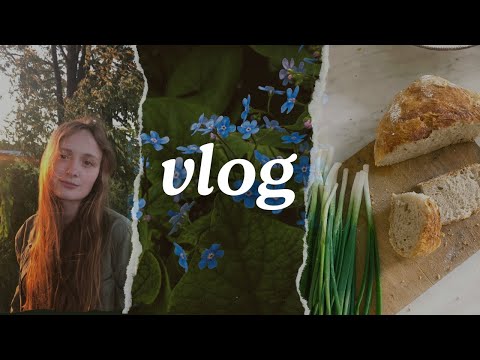 Видео: Диагностика зрения, неудачный хлеб, учитель в декрете| VLOG домашний