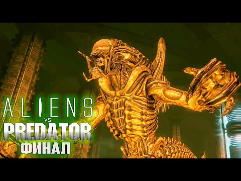 Видео: ФИНАЛЬНАЯ БИТВА - ALIEN vs PREDATOR Прохождение #11