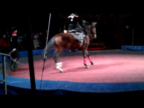 Видео: Джигиты Северной Осетии ИР-БЕК.