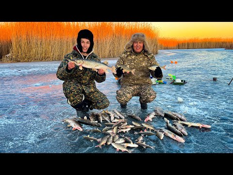 Видео: Қысқы балық аулау !!! Қармақты салсаң аласың (шортан, қызылқанат)