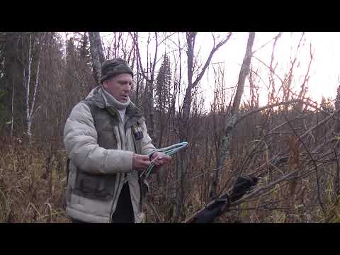 Видео: Петля на рябова.Выживание. Коми край. Ukhta.