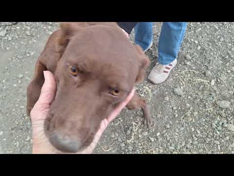 Видео: О наших проблемах. Встреча  с подписчицей из г.Ижевск. Привезли гостинцы для Николая Ивановича.