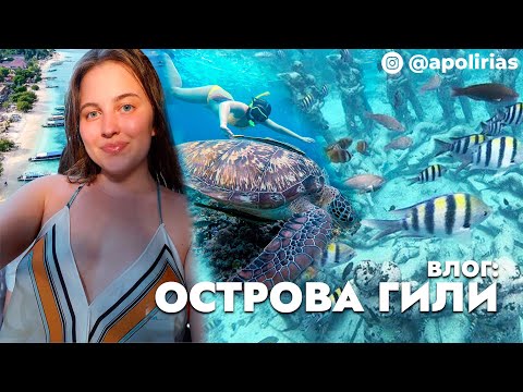 Видео: Влог: острова Гили | снорклинг, подводные статуи, черепахи