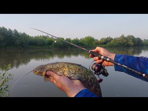 Видео: р. Дністер. Вечірній спінінг. СОМ)