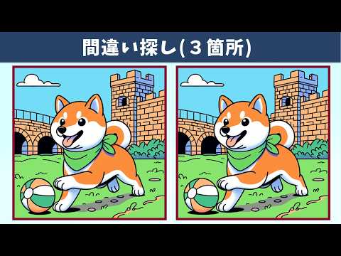 Видео: Найдите 3 отличия | Иллюстрация Версия #1668