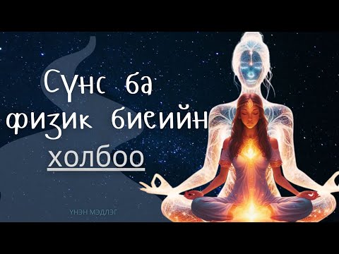 Видео: 1.Сүнс ба Физик биеийн холбоо