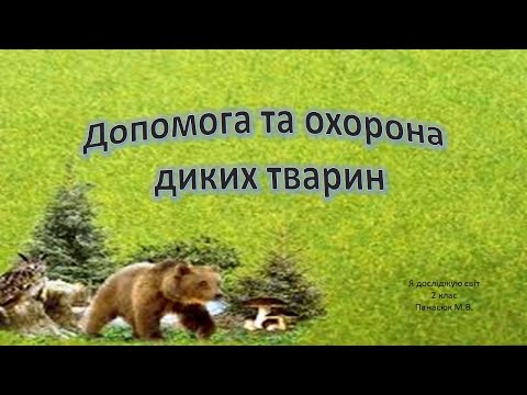 Видео: Допомога та охорона диких тварин. Я досліджую світ 2 клас