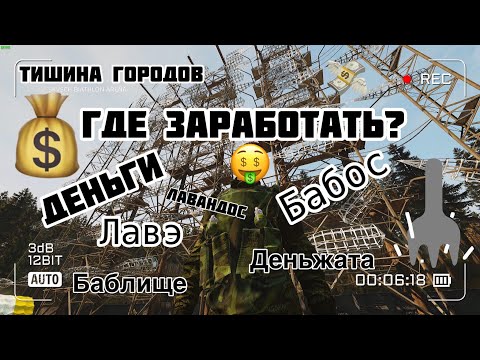 Видео: ГДЕ и КАК ЗАРАБОТАТЬ МНОГО ДЕНЕГ | Тишина городов / Dayz