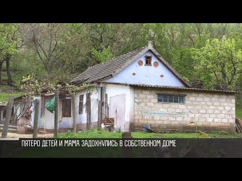 Видео: В Ташлыке погибли мать и пятеро детей