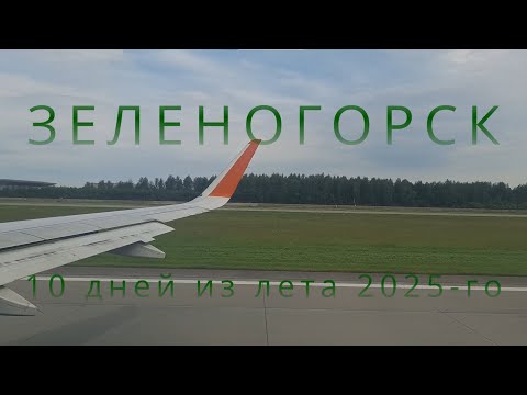 Видео: Зеленогорск: 10 дней лета 2025-го