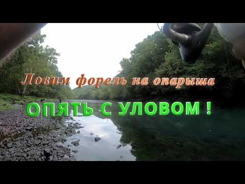 Видео: Ловим форель на опарыша. Опять с уловом!!!