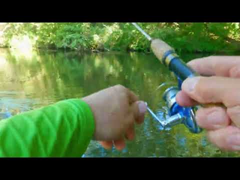 Видео: SUP рыбалка на Северке 08092025 1