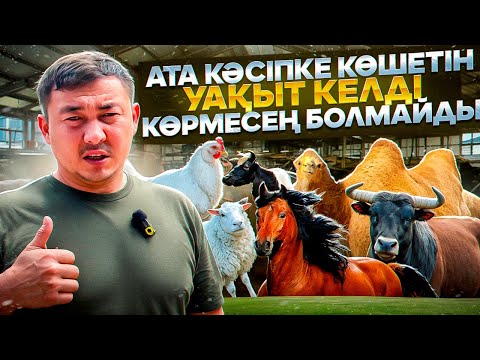 Видео: Мал Бордақылауға қора жай қалай саламыз 🤔? Кормороздатчик , Дробилка Тракторды қалай тегін аламыз