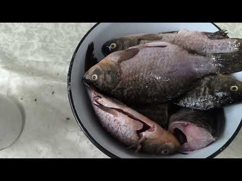 Видео: КАРАСЬ В СМЕТАНЕ РЕЦЕПТ! Я совсем не ожидал такого вкуса!