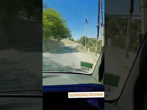 Видео: 2 августа 2025 г.