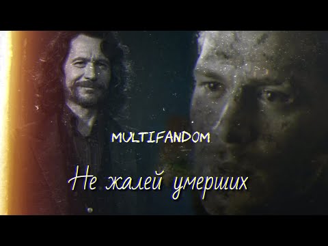 Видео: ❌Не жалей умерших || multifandom