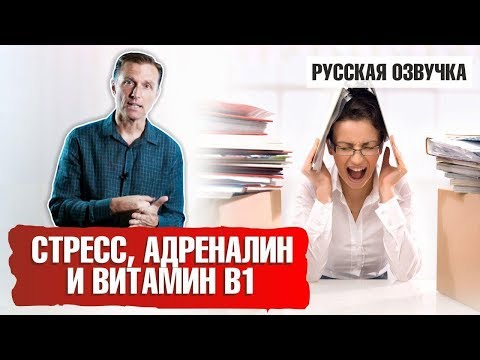 Видео: Стресс, адреналин и витамин В1 (русская озвучка)