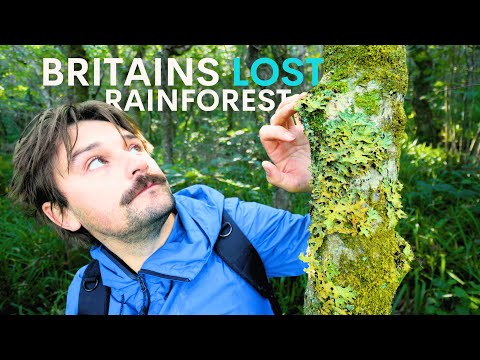 Видео: Внутри британского тропического леса, скрывающегося на скале