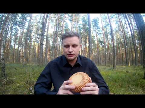 Видео: Знакомство и немного о канале .