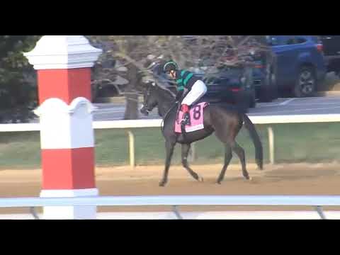 Видео: R9 КИНЕЛАНД 24 ОКТЯБРЯ 2025 ГОДА