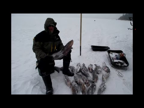 Видео: Рыбалка в Забайкалье