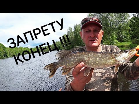 Видео: Конец нерестового запрета. Рыбалка с лодки. Десногорское водохранилище.