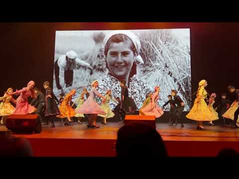 Видео: Композиция «Никто не забыт, ничто не забыто». 2605.2025