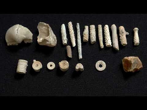 Видео: Домодедовский известняковый карьер. Часть 2. Что там можно найти.
