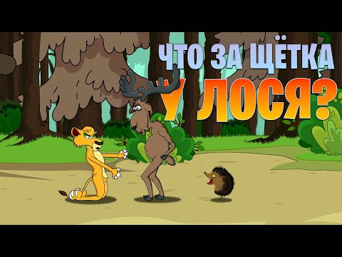 Видео: Что за Щётка у Лося | Беспредельные Звери