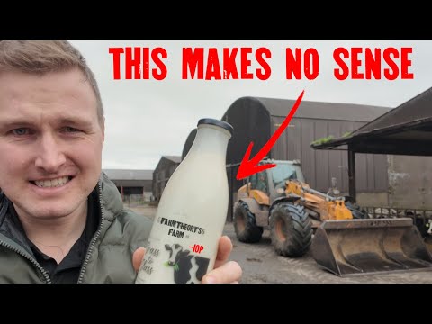 Видео: Я теряю деньги на каждом литре молока — вот план выживания