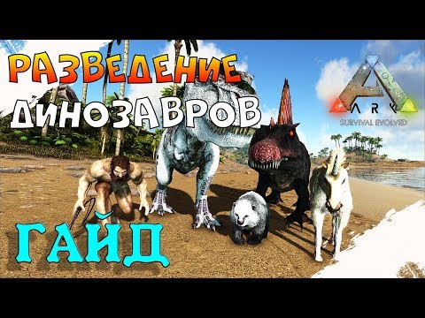 Видео: Разведение динозавров в ARK: Survival Evolved. Подробный гайд арк