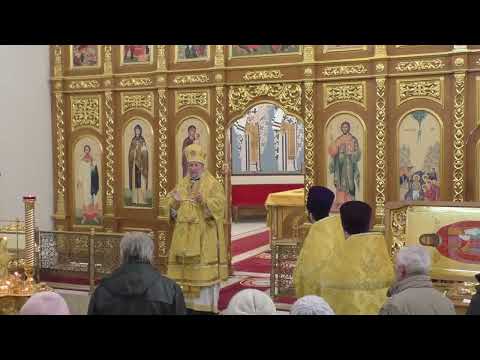 Видео: Проповедь в Неделю мясопустную, о Страшном Суде.