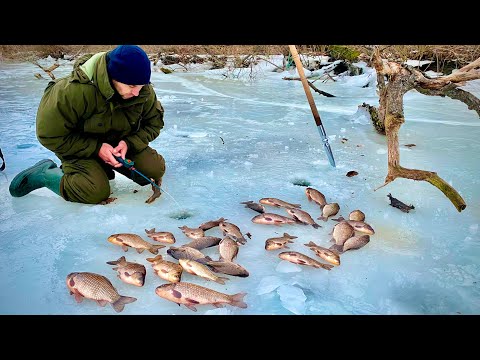 Видео: Рибалка на КРУПНОГО КАРАСЯ В КОРЯГАХ! НЕЙМОВІРНА РОЗДАЧА!!!