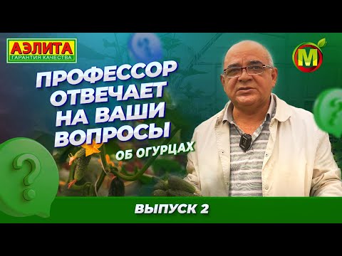 Видео: ВСЁ О ВЫРАЩИВАНИИ ОГУРЦОВ! Профессор отвечает на ваши вопросы: выпуск 2