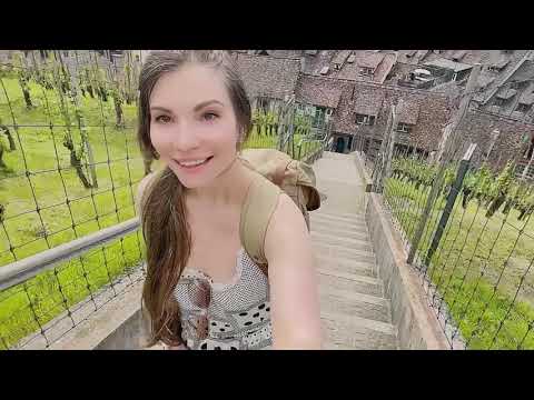 Видео: Шаффхаузен Швейцария  | 4К | тур по городу | история | достопримечательности | факты