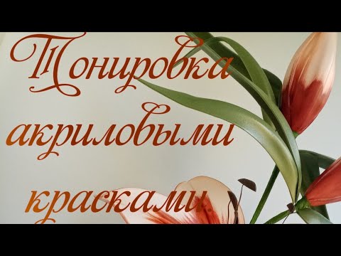 Видео: Тонировка акриловыми красками изолон или софтин.