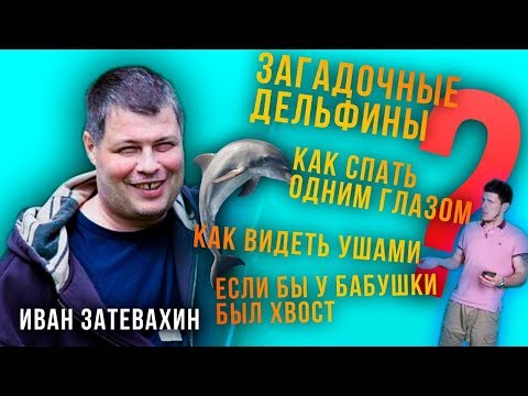 Видео: 04 || Необыкновенные способности дельфинов - 15 главных фактов