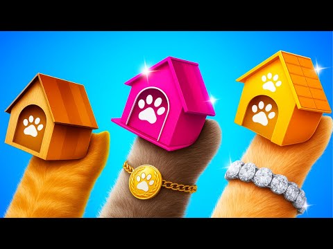 Видео: НЕ ГОВОРИ МОЕМУ ПАПЕ! 🤫 | Я ТАЙНО УСЫНОВИЛ БРОДЯЧУЮ СОБАКУ 🐶