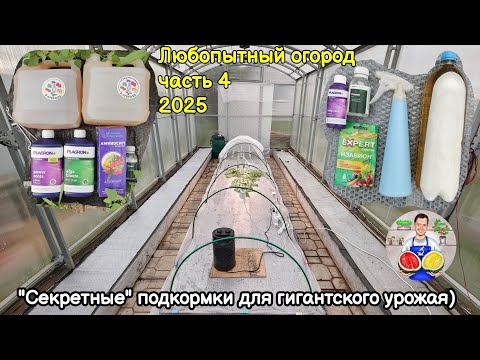 Видео: Любопытный огород часть 4 (2025).