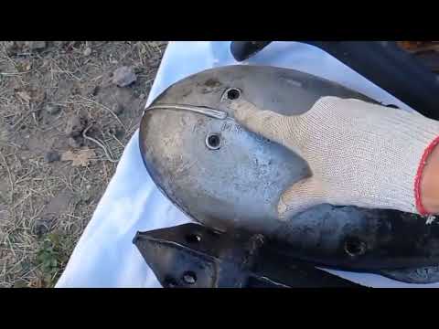 Видео: Отличия Иж 49 и Иж 350