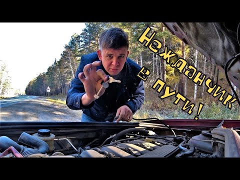 Видео: Очередной подвох от машины и домашние дела