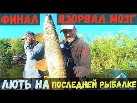 Видео: ФИНАЛ ВЗОРВАЛ МОЗГ! ЛЮТЬ НА ПОСЛЕДНЕЙ РЫБАЛКЕ