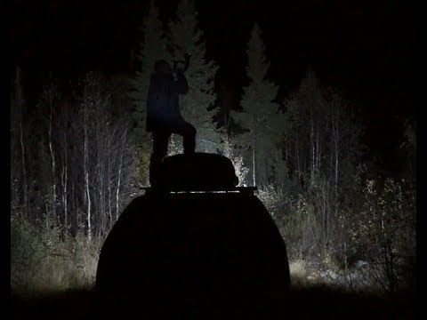 Видео: Нападение медведя на охотников. The attack of the bear on the hunters.